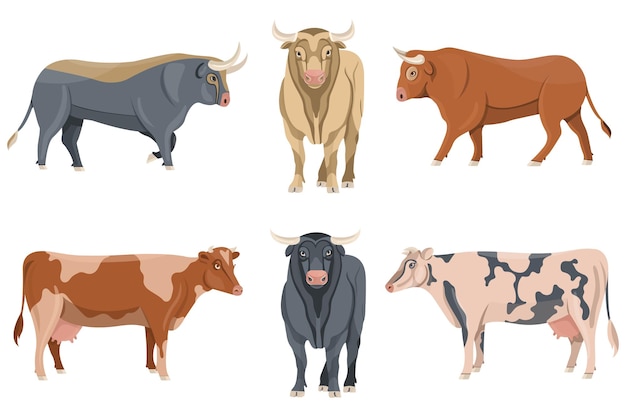 Vector establecer toros y vacas vector colección de siluetas de toros en varias poses ilustración de animal