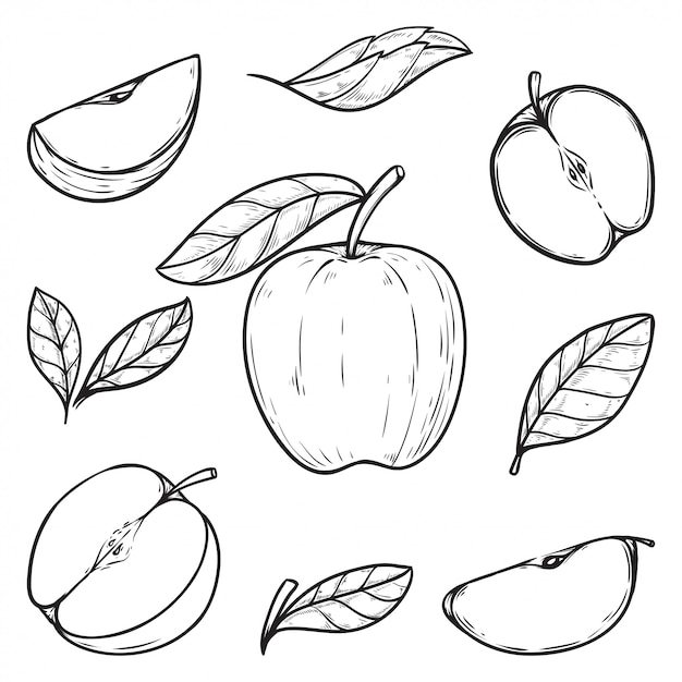 Establecer vector de manzana dibujado a mano