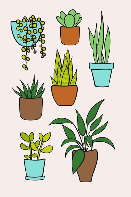 Establecer vector de plantas de interior en macetas. Colección de dibujos animados dibujados a mano de plantas de interior. ilustración vectorial