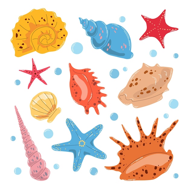 Vector establezca coloridas conchas marinas diferentes y estrellas de mar en estilo plano dibujado a mano sobre fondo blanco