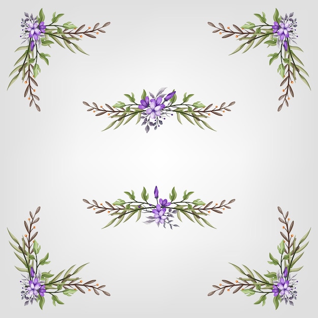 Establezca la flor botánica los elementos florales decorativos para la invitación