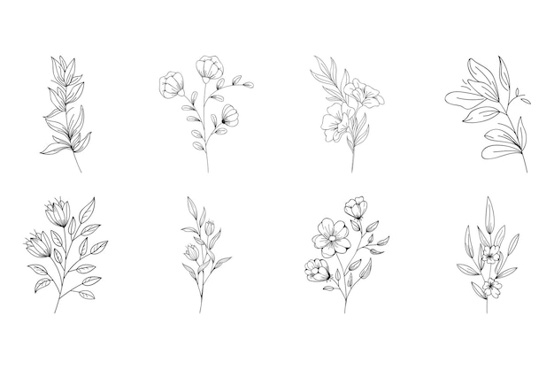 Establezca flores dibujadas a mano en un fondo blanco aislado