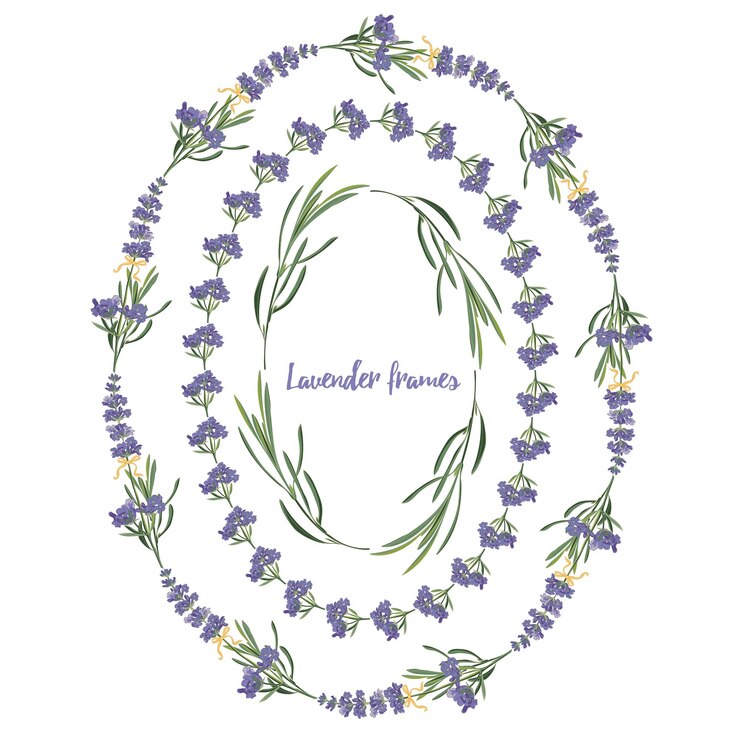 Vector establezca la plantilla de hermosos marcos florales de lavanda violeta en estilo de acuarela vectorial aislado en fondo blanco para diseño decorativo tarjeta de boda invitación viaje flayer ilustración botánica