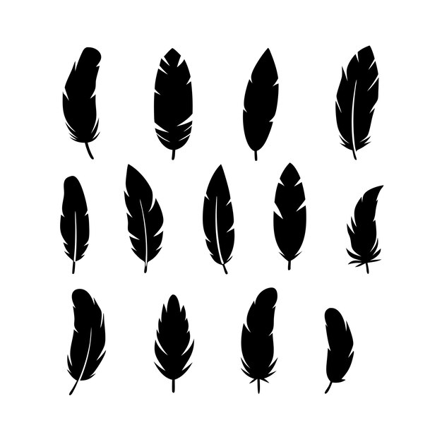 Establezca siluetas de plumas negras sobre un fondo transparente Ilustración decorativa para el corte del trazado 19