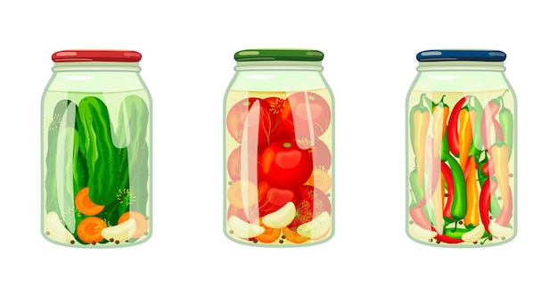 Establezca verduras enlatadas al estilo de dibujos animados Ilustración vectorial de tomates envueltos en jarros pepinos chile con ajo y zanahorias en fondo blanco