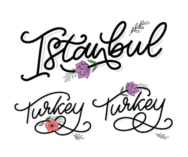 Estambul hand lettering vector logo de estambul en color negro con gaviotas sobre fondo blanco productos de recuerdo banner emblema blog de viajes folleto de medios sociales ilustración digital