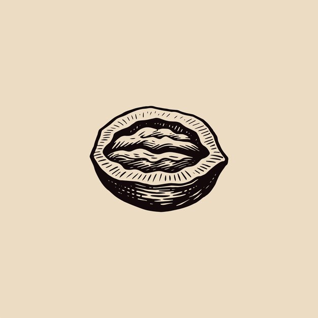 Estampa de diseño de estilo de grabado del logotipo de la nuez moscada vintage