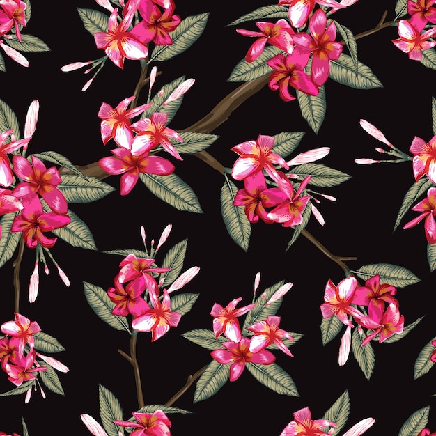 Estampado de flores sin fisuras flores de frangipani rosa sobre fondo negro