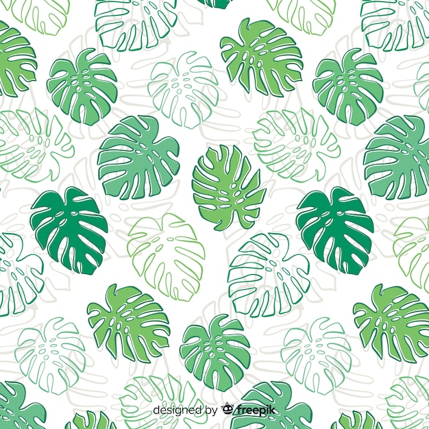 Estampado de hojas de monstera dibujado a mano