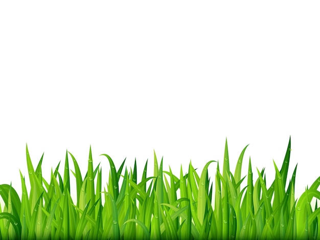 Estandarte de hierba verde Fondo vectorial