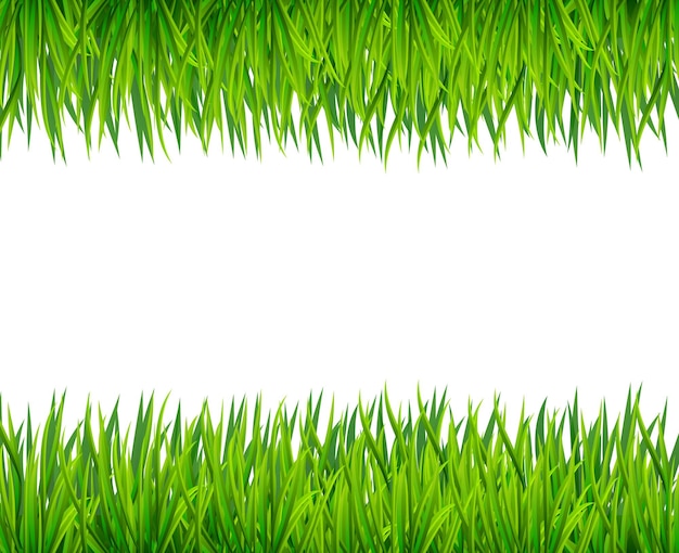 Estandarte de hierba verde Fondo vectorial