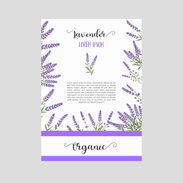 Estandarte con lavanda un cartel con flores púrpuras y hojas vibrantes sobre un fondo blanco