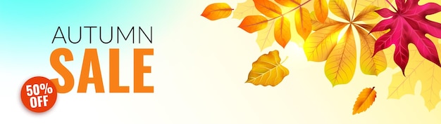 Estandarte de otoño hojas de otoño naranja y amarillas Oferta de descuento de temporada con follaje horizontal realista rojo cartel publicitario de venta volante marco botánico ilustración vectorial aislada en 3D