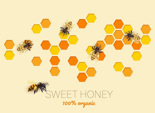 Estandarte de papel cortado de panal de miel y vector de abejas