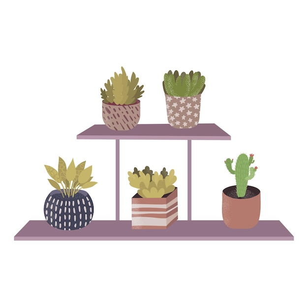 Estante hogar floral estante orgánico plantas verdes cactus maceta concepto verdor tarro ilustración vectorial plana ...