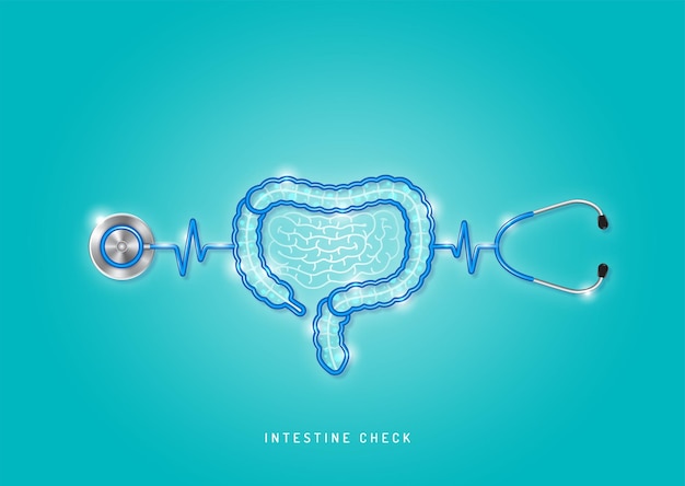 El estetoscopio médico y de atención médica da forma al intestino y revisa todos los órganos para una buena salud