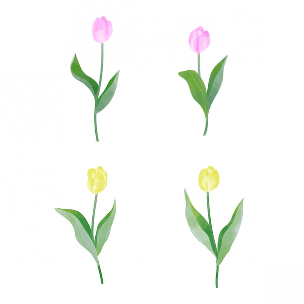 estilo de acuarela de elementos de flor de tulipán rojo y amarillo