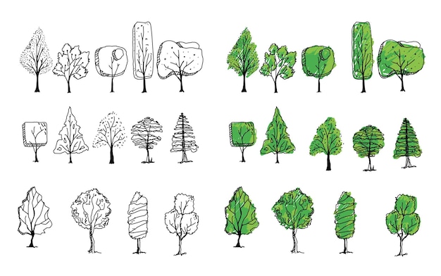 Estilo de boceto de árbol de arquitectura para plan