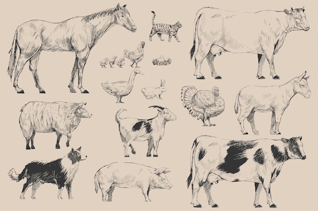 Estilo de dibujo de ilustración de la colección de animales de granja.