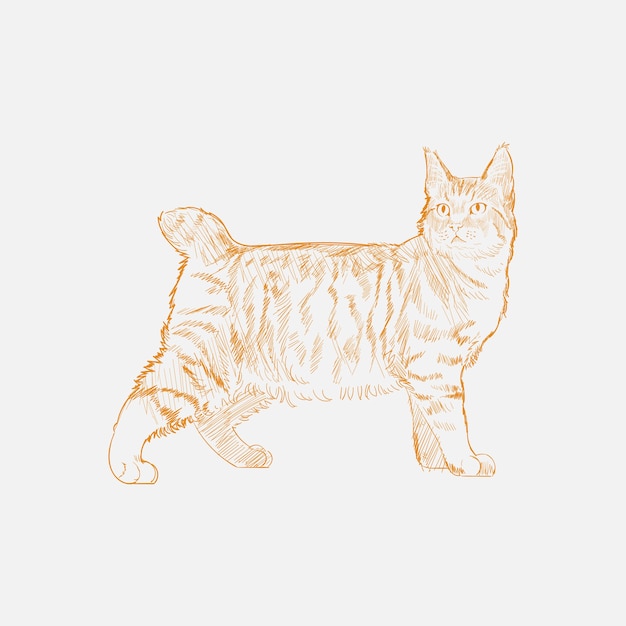 Estilo de dibujo de ilustración de gato