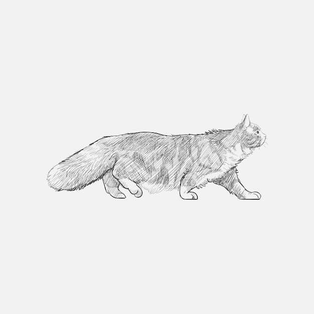 Estilo de dibujo de ilustración de gato