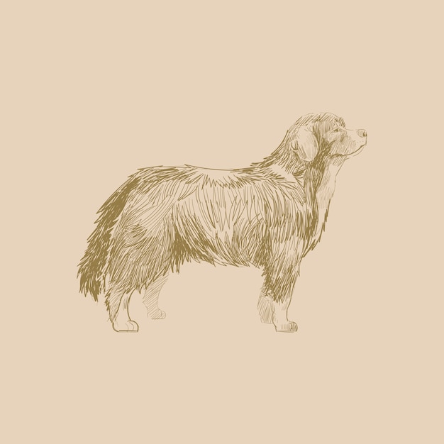 Estilo de dibujo de ilustración de perro