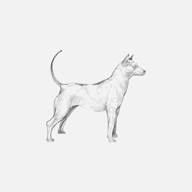 Estilo de dibujo de ilustración de perro