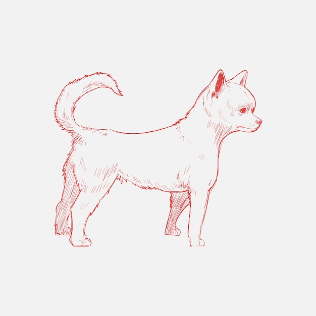 Estilo de dibujo de ilustración de perro