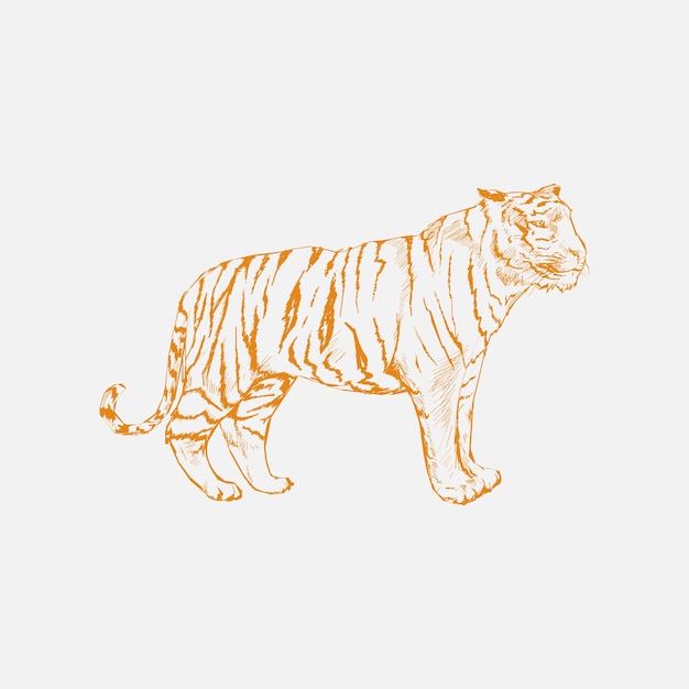 Estilo de dibujo de ilustración del tigre