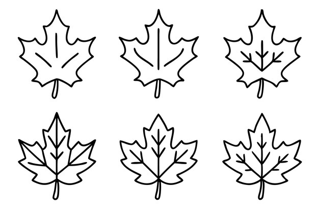Estilo de dibujo de la línea de la hoja de arce