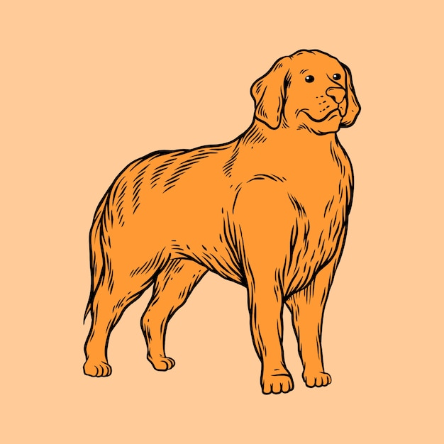 Vector estilo de dibujo a mano de perro de cuerpo completo