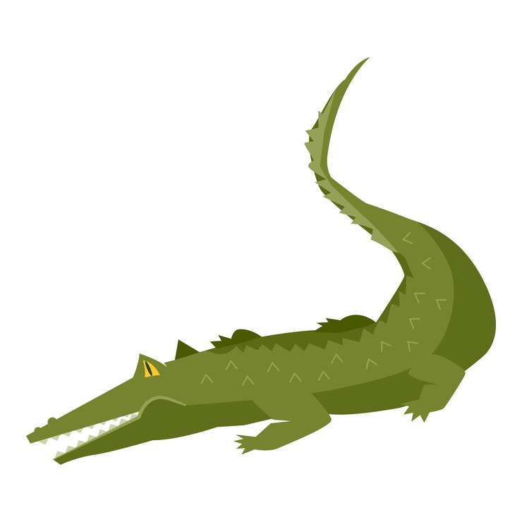 Vector estilo de dibujos animados de cocodrilo en la ilustración de vector blanco