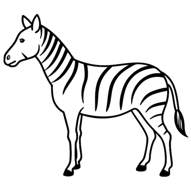 Estilo de dibujos animados Dibujo de arte de línea simple de Chapmans Diseño y ilustración vectorial de cebras
