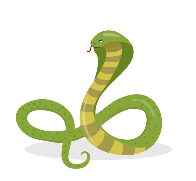 Estilo de dibujos animados planos de King Cobra. Serpiente aislada sobre fondo blanco, elemento logo. Ilustración vectorial.