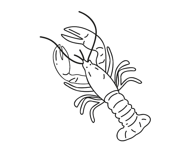 Vector estilo de fideos cangrejo de río rojo fresco aislado sobre fondo blanco. dibujado a mano o lineal.