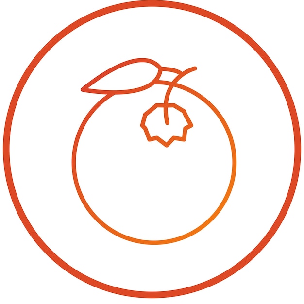 Estilo del icono naranja