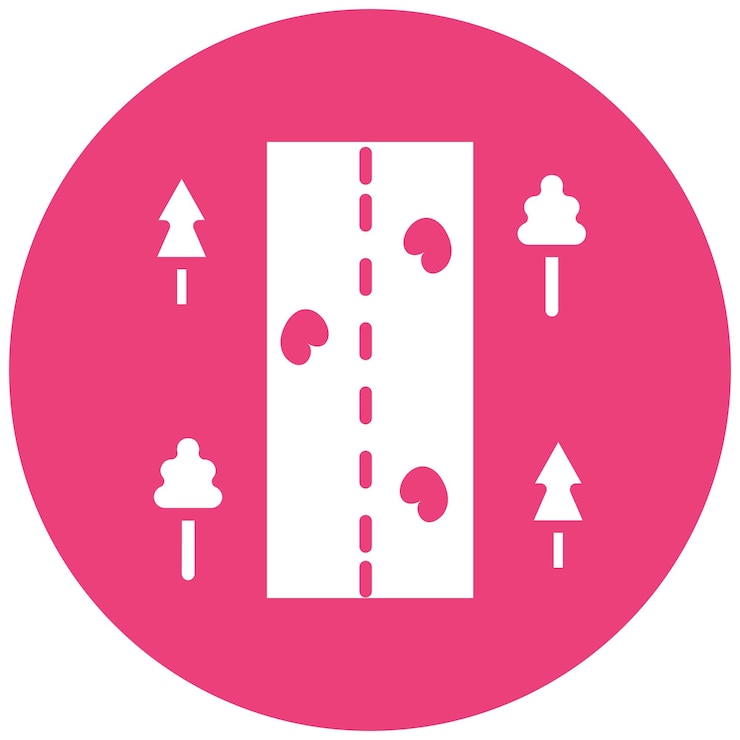 Vector estilo de ilustración del vector de carretera sin sellar