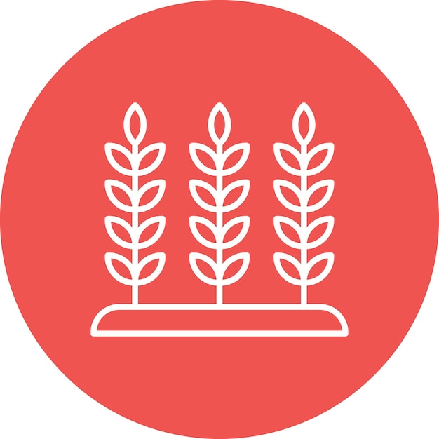 Estilo de ilustración del vector de la plantación de trigo