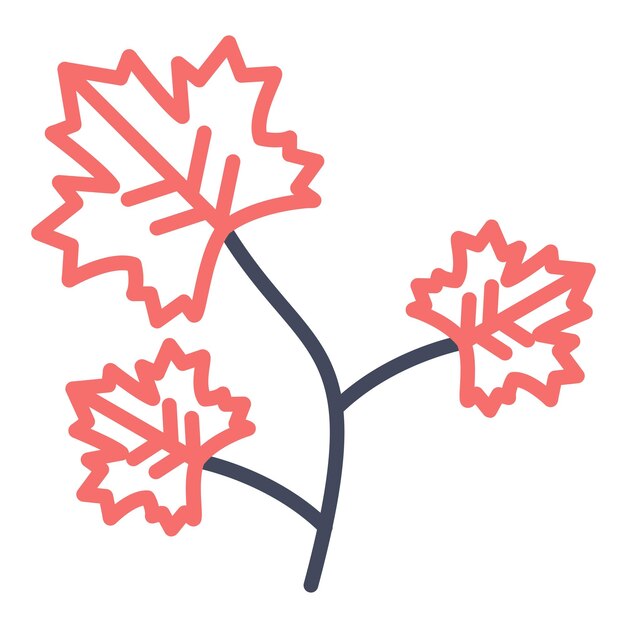 Estilo de ilustración vectorial de coriandro