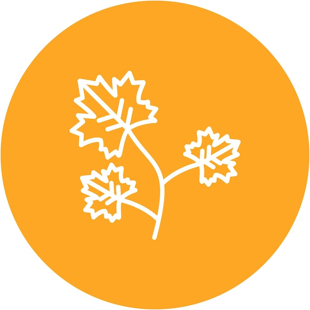 Estilo de ilustración vectorial de coriandro