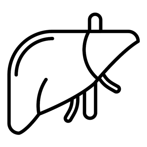 Estilo de ilustración vectorial del hígado