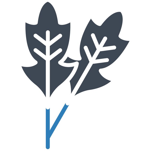 Estilo de ilustración vectorial de la rúcula
