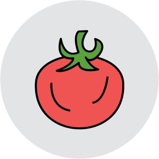 Vector estilo de ilustración vectorial del tomate