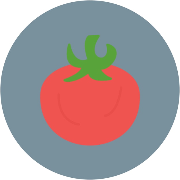 Vector estilo de ilustración vectorial del tomate