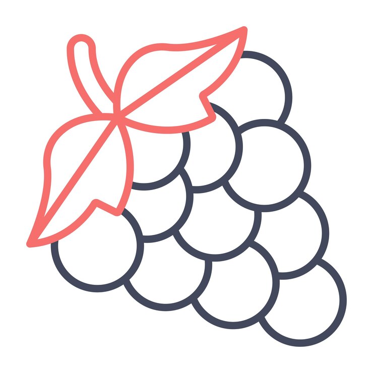 Vector estilo de ilustración vectorial de las uvas