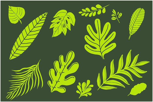 Estilo de mano tropical de 12 hojas. Archivo Eps 8. Ilustración vectorial