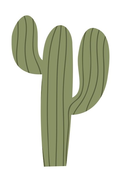Estilo plano de cactus Íconos de cactos aislados en fondo blanco Exóticas Plantas de interior decorativas Planas