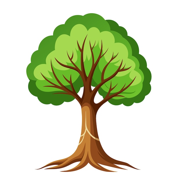 Vector estilo plano de dibujos animados de árbol verde en blanco