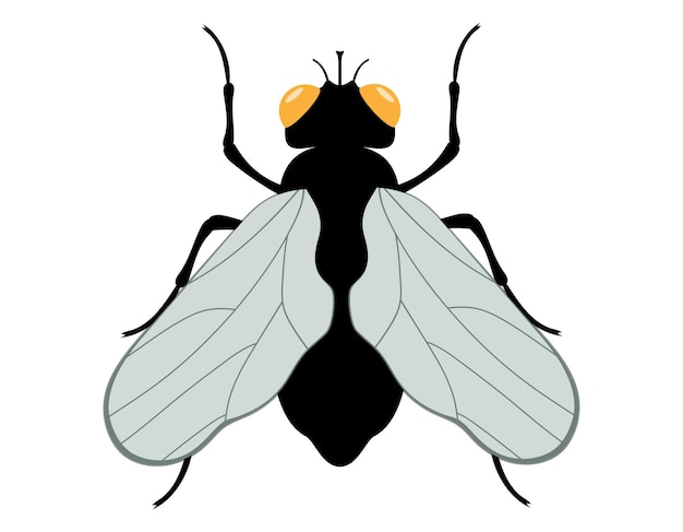 estilo plano insectos vida silvestre animales ilustración vectorial