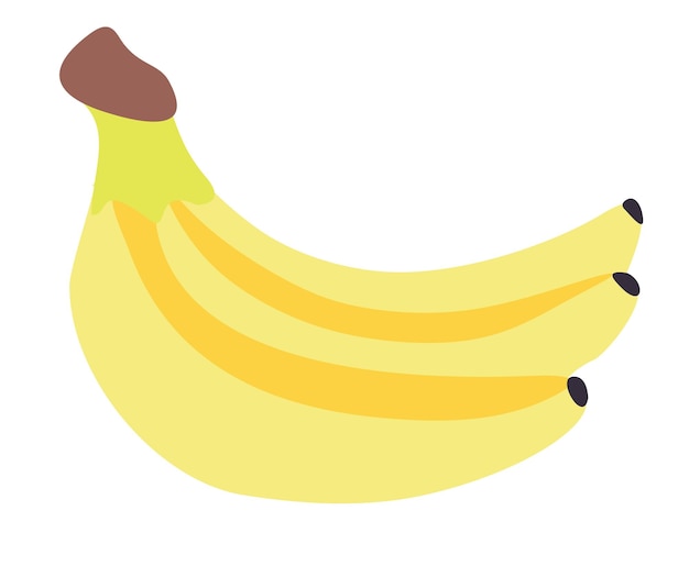 Estilo plano de plátano Ilustración de color vectorial aislada en fondo blanco Icono de fruta dulce y fresca H